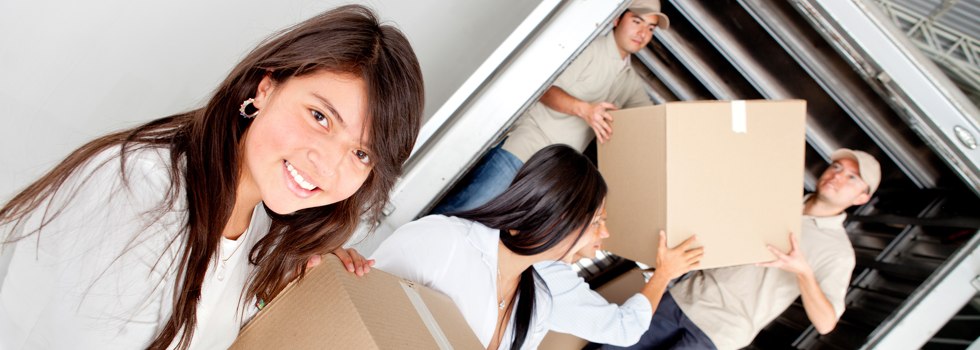 Professional Removalists Lauderdale